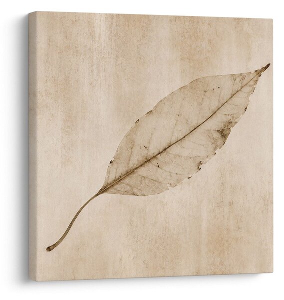 Obraz minimalistický list v sepia stylu