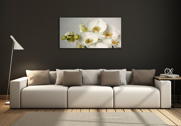 Fotoobraz na skle Bílá orchidej osh-67521473