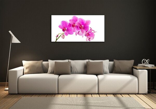 Fotoobraz na skle Růžová orchidej osh-67673367