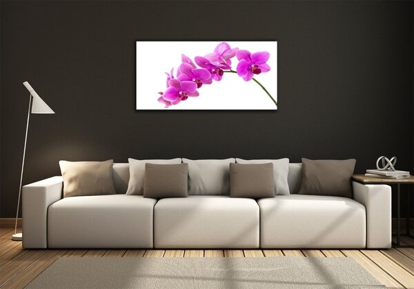 Fotoobraz na skle Růžová orchidej osh-67691978