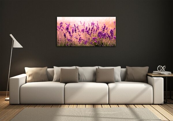 Foto obraz sklo tvrzené Levandule osh-67946318