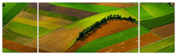 Obraz - Pole, louky (170x50 cm)