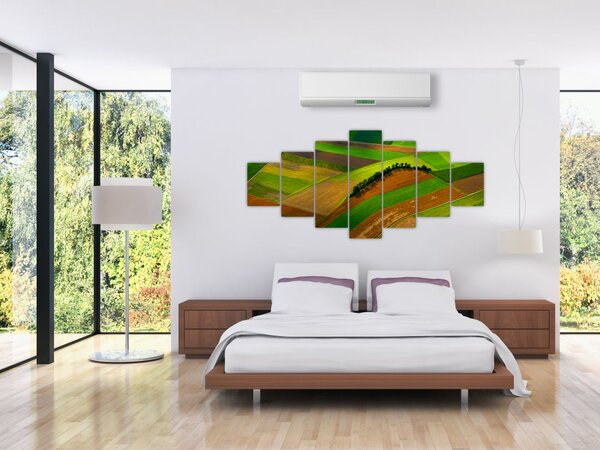 Obraz - Pole, louky (210x100 cm)