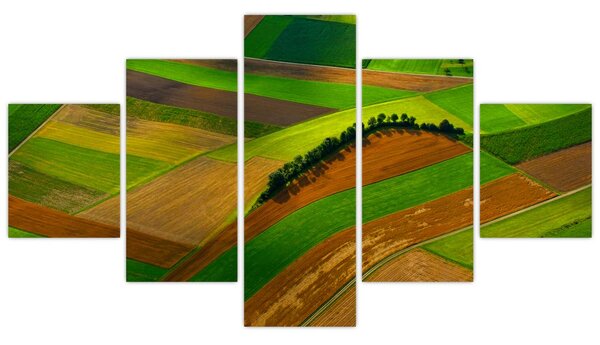 Obraz - Pole, louky (125x70 cm)