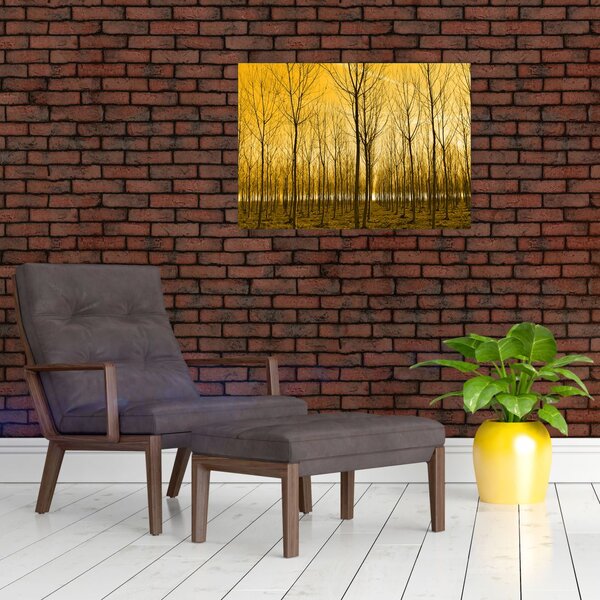 Obraz - Plantáž stromů (70x50 cm)
