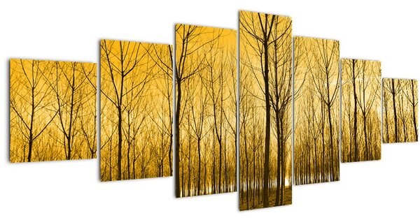 Obraz - Plantáž stromů (210x100 cm)