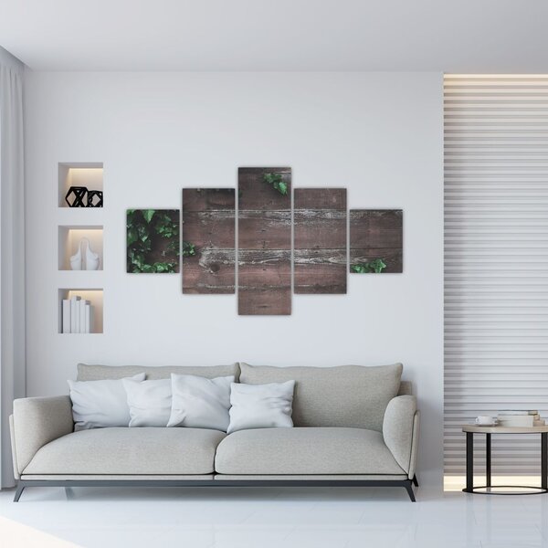 Obraz - Břečťan (125x70 cm)