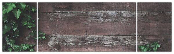 Obraz - Břečťan (170x50 cm)