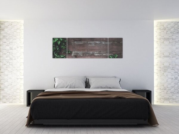 Obraz - Břečťan (170x50 cm)