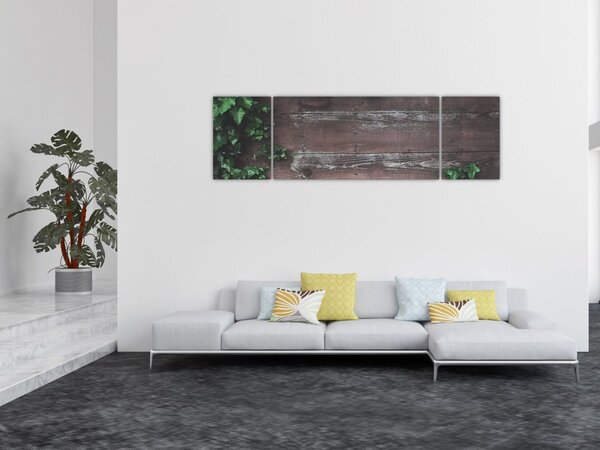Obraz - Břečťan (170x50 cm)