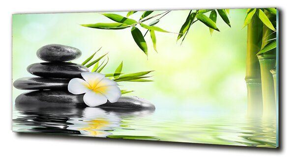 Foto-obraz fotografie na skle Orchidej a bambus osh-68618057