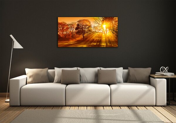 Foto obraz fotografie na skle Západ slunce osh-68720414
