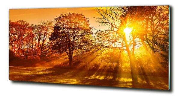 Foto obraz fotografie na skle Západ slunce osh-68720414