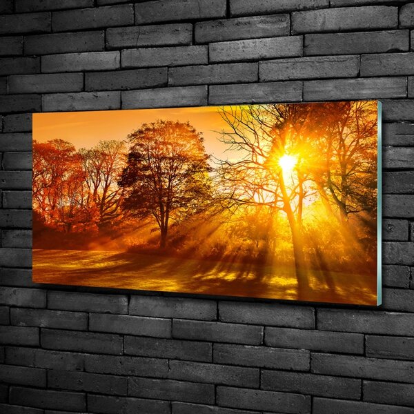 Foto obraz fotografie na skle Západ slunce osh-68720414