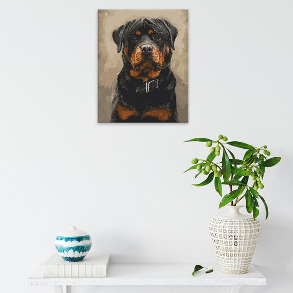 Obraz na plátně - Pes s obojkem - 40x50 cm - CZ výroba