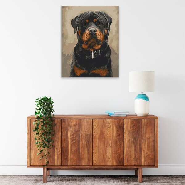 Obraz na plátně - Pes s obojkem - 40x50 cm - CZ výroba
