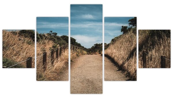 Obraz - Na stezce (125x70 cm)