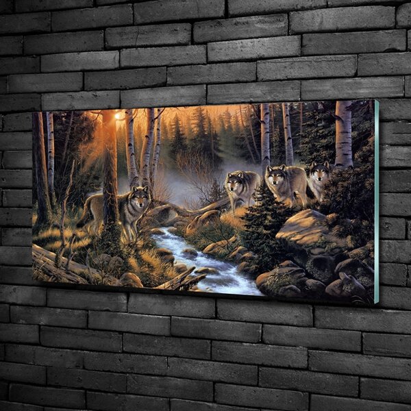 Foto obraz fotografie na skle Smečka vlků osh-68897163