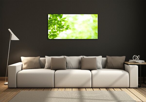 Foto obraz sklo tvrzené Listí osh-69074600