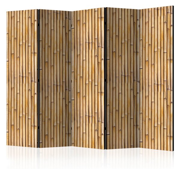 Artgeist Paraván - Amazonian Wall II [Room Dividers] Size: 225x172