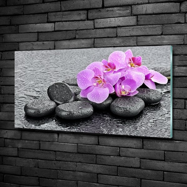 Moderní foto obraz na stěnu Orchidej kamení osh-69189175
