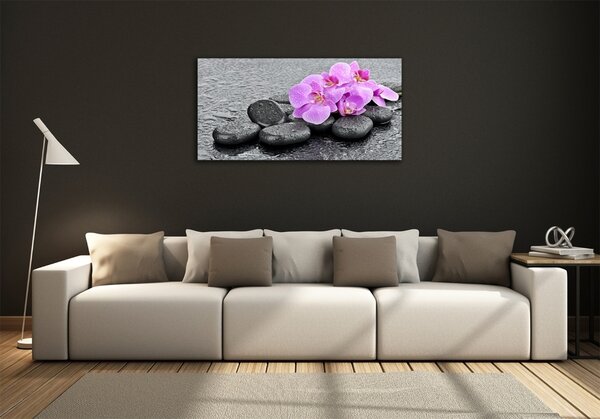 Moderní foto obraz na stěnu Orchidej kamení osh-69189175