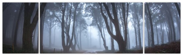 Obraz - Za deštivého dne (170x50 cm)