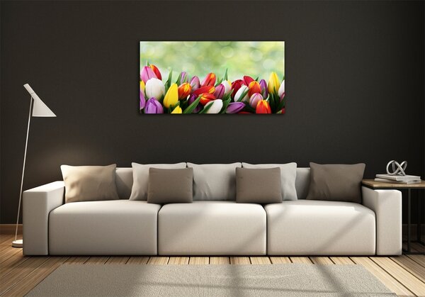 Foto-obraz fotografie na skle Barevné tulipány osh-69344290