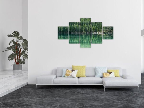 Obraz - Jehličnany u jezera (125x70 cm)