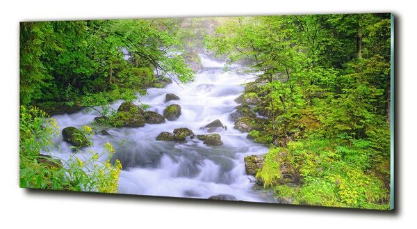 Foto obraz fotografie na skle Horská řeka osh-69563755