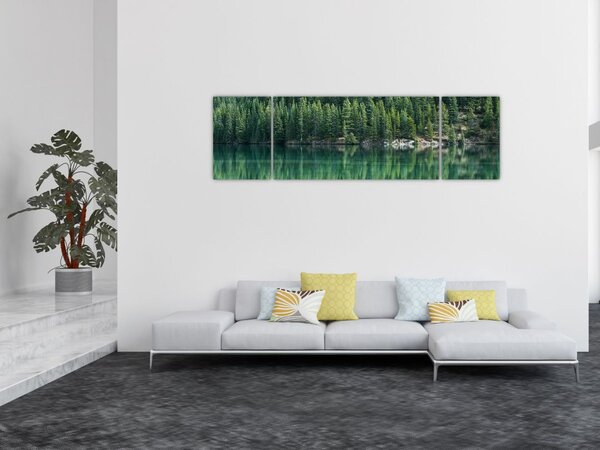 Obraz - Jehličnany u jezera (170x50 cm)