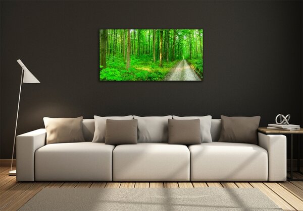 Foto obraz skleněný horizontální Stromy v lese osh-69570264