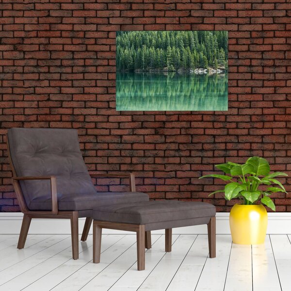 Obraz - Jehličnany u jezera (70x50 cm)