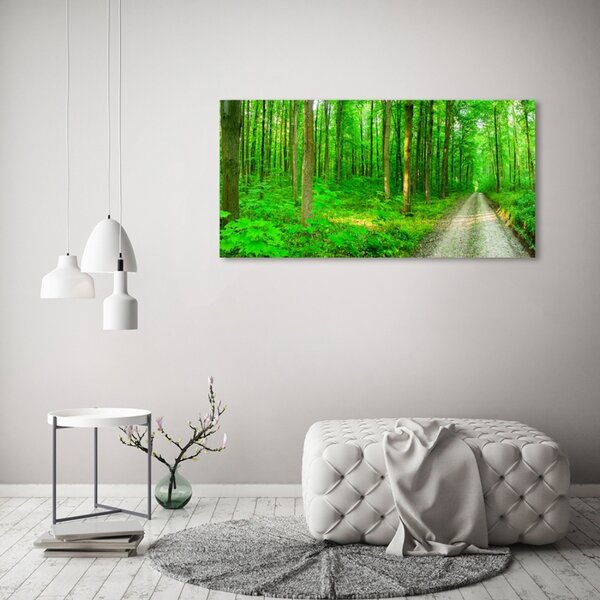 Foto obraz skleněný horizontální Stromy v lese osh-69570264
