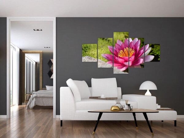 Obraz - Leknín (125x70 cm)