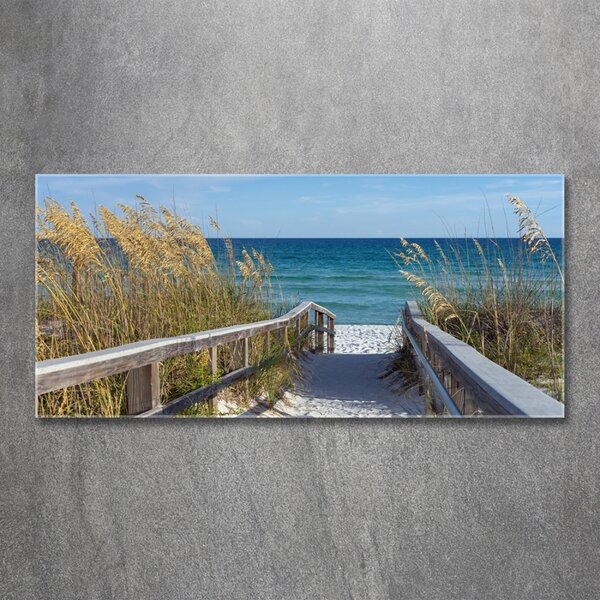 Foto obraz sklo tvrzené Mořské duny osh-69949398