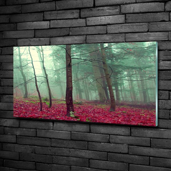 Foto obraz fotografie na skle Podzimní listí osh-69969549