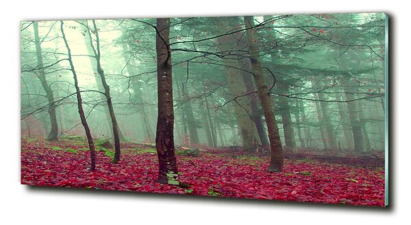 Foto obraz fotografie na skle Podzimní listí osh-69969549