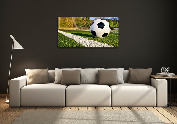 Moderní skleněný obraz z fotografie Míč v bramce osh-70358080