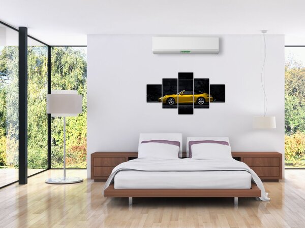 Obraz - Sporťák (125x70 cm)