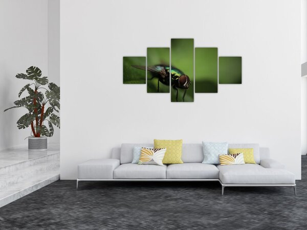 Obraz - Moucha (125x70 cm)