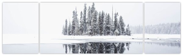 Obraz - Bylo bílo (170x50 cm)