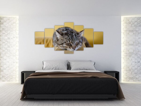 Obraz kočky na pohovce (210x100 cm)