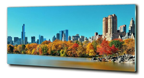Foto obraz skleněný horizontální New York podzim osh-70676089