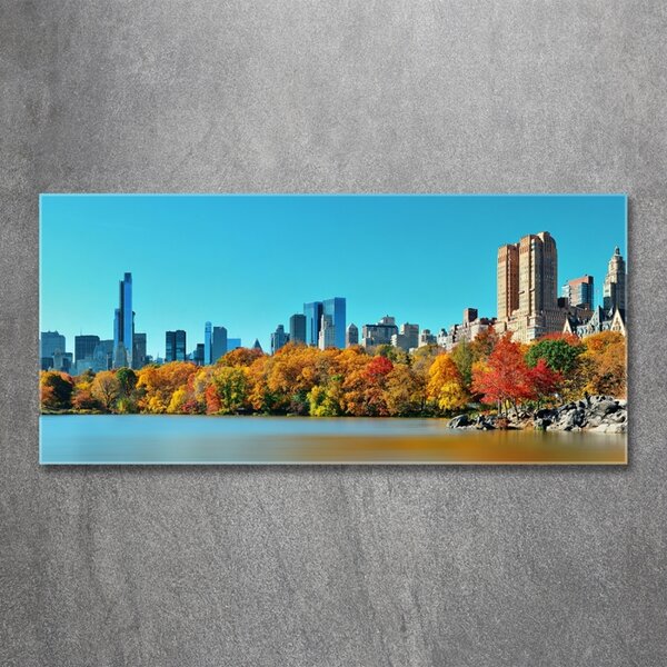 Foto obraz skleněný horizontální New York podzim osh-70676089