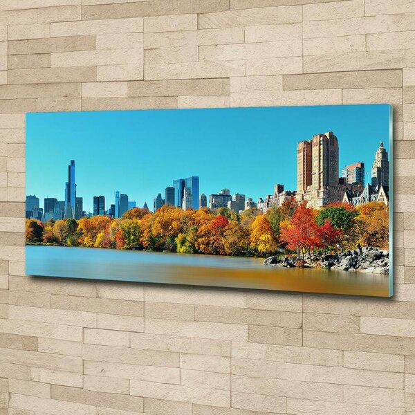 Foto obraz skleněný horizontální New York podzim osh-70676089