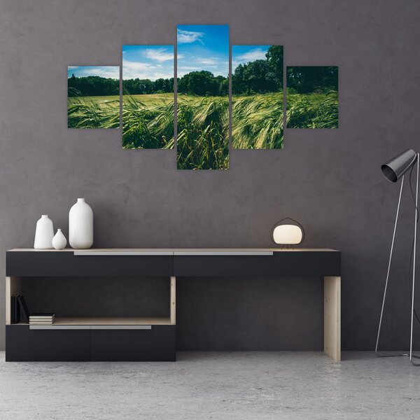 Obraz louky a lesa (125x70 cm)