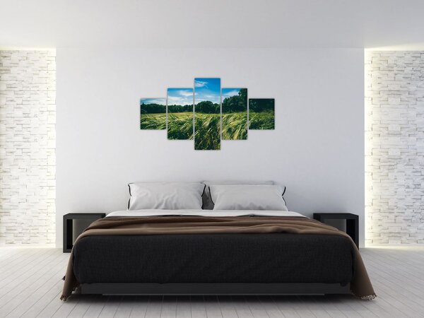 Obraz louky a lesa (125x70 cm)