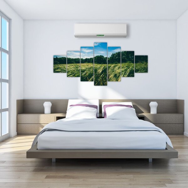 Obraz louky a lesa (210x100 cm)