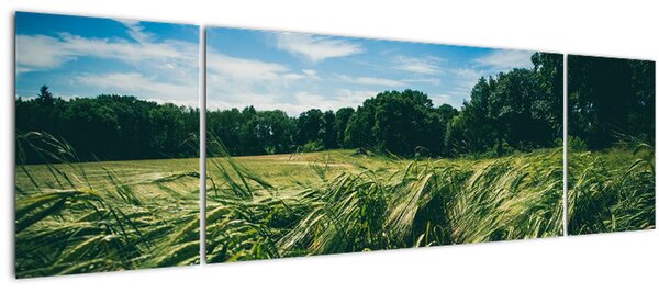 Obraz louky a lesa (170x50 cm)